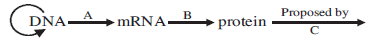 Molecular Basis of Inheritance mcq question image
